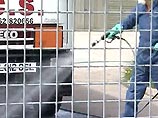 Власти района Англии, где выявлен "птичий грипп", призывают людей не паниковать Власти района Англии, где выявлен "птичий грипп", призывают людей не паниковать