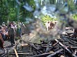 В индийской части штата Кашмир боевиками расстреляны 35 человек В индийской части штата Кашмир боевиками расстреляны 35 человек