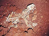 Недавно антропологи раскопали там останки некой летающей рептилии. Множество костей других животных попадалось им недалеко от границы с соседними США