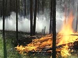 Из-за жаркой погоды и федерального законодательства Россию летом охватят пожары Из-за жаркой погоды и федерального законодательства Россию летом охватят пожары
