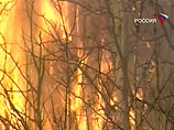 Пожар в заповеднике Куршская коса - выгорело уже более двухсот гектаров леса