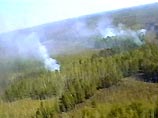  настоящее время на территории Приморского края действуют 4 пожара, они охватывают площадь 40 гектаров. Один лесной пожар локализован
