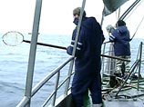 В Черном море в четверг возобновилась операция по поиску обломков и бортовых самописцев потерпевшего катастрофу самолета А-320 компании "Армавиа" В Черном море в четверг возобновилась операция по поиску обломков и бортовых самописцев потерпевшего катастрофу самолета А-320 компании "Армавиа"