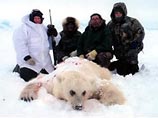 Проводник Роджер Куптана из поселения Сакс Харбор в Северо-западных территориях Канады был первым, кто предположил, что странно выглядящий медведь, застреленный в апреле американскими охотниками, был наполовину полярный медведь, наполовину гризли Проводник Роджер Куптана из поселения Сакс Харбор в Северо-западных территориях Канады был первым, кто предположил, что странно выглядящий медведь, застреленный в апреле американскими охотниками, был наполовину полярный медведь, наполовину гризли
