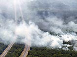 Власти Флориды не могут справиться с сильными лесными пожарами, бушующими в американском штате третью неделю