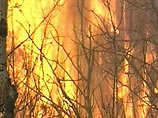 Число лесных пожаров в России увеличилось более чем в 4 раза по сравнению с прошлым годом
