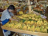 Самый популярный в мире фрукт и четвертая по важности пищевая культура - банан - находится под угрозой исчезновения. Генетический прародитель банана - дикий банан, а также традиционные сорта, выращиваемые в Индии, почти стерты с лица Земли