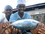 В Кении похищена уникальная рыба с отрывком из Корана на чешуе 