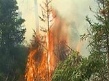 Сухая теплая погода на юге российского Дальнего Востока спровоцировала рост числа лесных пожаров