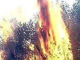 На Дальнем Востоке горит более 100 тысяч гектаров леса На Дальнем Востоке горит более 100 тысяч гектаров леса
