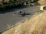 В Греции двое заключенных сбежали из тюрьмы строгого режима в Афинах, используя вертолет