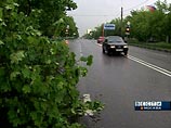 Сильная гроза в Москве: повалены деревья и столбы, молния ударила в трамвай