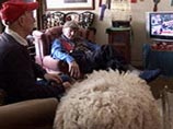Британский фермер вырастил всеядную овцу, ведущую собачий образ жизни Британский фермер вырастил всеядную овцу, ведущую собачий образ жизни