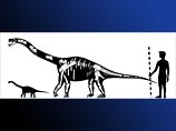 В Германии найдены останки живших там 150 млн лет назад карликовых динозавров