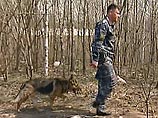 Очередное убийство совершено на западе Москвы, в лесном массиве, примыкающем к Битцевскому лесопарку
