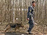 Очередное убийство совершено на западе Москвы, в лесном массиве, примыкающем к Битцевскому лесопарку Очередное убийство совершено на западе Москвы, в лесном массиве, примыкающем к Битцевскому лесопарку