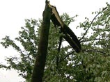 Ураган в Башкирии - поваленным деревом убита девушка
