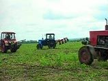 Сельское хозяйство посчитают и будут развивать на год дольше Сельское хозяйство посчитают и будут развивать на год дольше