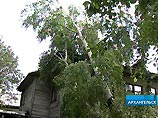 Ураган нанес серьезный урон энергоснабжению Архангельской области Ураган нанес серьезный урон энергоснабжению Архангельской области