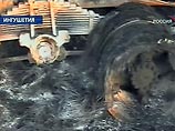 В Ингушетии взорвался "КамАЗ" с боевиками, перевозившими 100 кг тротила В Ингушетии взорвался "КамАЗ" с боевиками, перевозившими 100 кг тротила