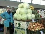 Однако в этом году сезонного снижения цен на плодоовощную продукцию не произошло. Неурожай, запрет на ввоз сельхозпродукции из Молдавии и Грузии, высокая коррумпированность столичных рынков сделали овощи и фрукты в Москве по-зимнему дорогими и недоступным
