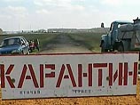 В Томской области подтверждено наличие "птичьего гриппа" В Томской области подтверждено наличие "птичьего гриппа"