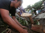 Число жертв цунами на острове Ява достигло 350 человек, сотни пропали без вести