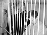 Убийцы новосибирского депутата получили в общей сложности почти 65 лет лишения свободы Убийцы новосибирского депутата получили в общей сложности почти 65 лет лишения свободы
