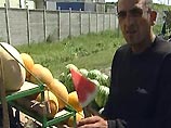 В Москве запретили торговать арбузами и дынями на голом асфальте и разрезать их при продаже