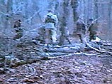 Тренировочный лагерь боевиков обнаружен в Кабардино-Балкарии Тренировочный лагерь боевиков обнаружен в Кабардино-Балкарии