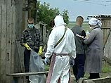 Осенью России грозит "птичий грипп", но уже будет вакцина Осенью России грозит "птичий грипп", но уже будет вакцина