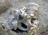 Речь идет о пещере Gran Dolina, которая находится в горах Атапуэрка в Испании, где уже давно находят останки гоминидов, возраст которых составляет сотни тысяч лет