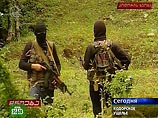 Ополченцы в Кодорском  ущелье Грузии заявили о готовности  к  боевым действиям