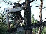 Самолет-амфибия Бе-103 упал на дачный участок в Хабаровске Самолет-амфибия Бе-103 упал на дачный участок в Хабаровске