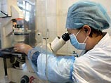 ПДК гептила на месте падения ракеты "Днепр" превышена в тысячу раз ПДК гептила на месте падения ракеты "Днепр" превышена в тысячу раз