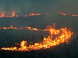 "Мы сделаем так, что пожары в лесах не прекратятся до тех пор, пока не будет убрано идолище. Будем поджигать леса - и пусть сгорит хоть вся Эстония", - говорится в письме