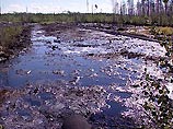 В Брянской области из-за аварии на нефтепроводе  произошел разлив нефти, но угрозы экологической катастрофы нет