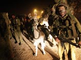 Ламы израильской армии отказались двигаться дальше ливано-израильской границы Ламы израильской армии отказались двигаться дальше ливано-израильской границы