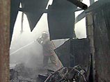 Брянский селянин сжег свой сарай, пытаясь избавиться от диких пчел Брянский селянин сжег свой сарай, пытаясь избавиться от диких пчел