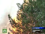 Лесные пожары в Петербурге и Ленинградской области тушит авиация МЧС