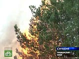 Лесные пожары в Петербурге и Ленинградской области тушит авиация МЧС Лесные пожары в Петербурге и Ленинградской области тушит авиация МЧС