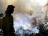 В Испании число лесных пожаров уменьшилось - с огнем борются 15 тысяч пожарных В Испании число лесных пожаров уменьшилось - с огнем борются 15 тысяч пожарных