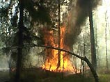 В Волгоградской области горят 400 га леса. Пожар угрожает населенным пунктам