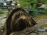 Сильнейшая ночная гроза в Москве не привела к серьезным последствиям (ФОТО) Сильнейшая ночная гроза в Москве не привела к серьезным последствиям (ФОТО)