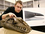 Из-за внушающих страх и острых как бритва зубов доисторическое животное получило прозвище "океанский тиранозавр"