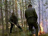 Степной пожар сжег 43 дома в станице в Волгоградской области, есть пострадавшие Степной пожар сжег 43 дома в станице в Волгоградской области, есть пострадавшие
