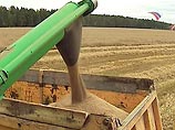 Неурожайный 2006 год приведет к подорожанию потребительской корзины Неурожайный 2006 год приведет к подорожанию потребительской корзины