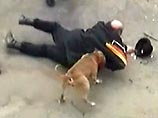 В Москве хотят ограничить владение бойцовыми собаками, приравняв их к огнестрельному оружию В Москве хотят ограничить владение бойцовыми собаками, приравняв их к огнестрельному оружию