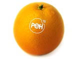 Ren-TV начинает ребрендинг: канал станет оранжевым и "русским" Ren-TV начинает ребрендинг: канал станет оранжевым и "русским"