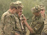 Эксперимент по превращению армии в ПТУ выявил подводные камни Эксперимент по превращению армии в ПТУ выявил подводные камни